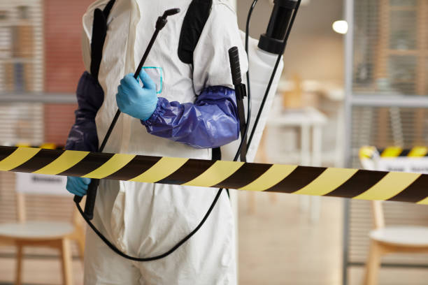 Professional Sewage Cleanup technician working in Waverly, MN